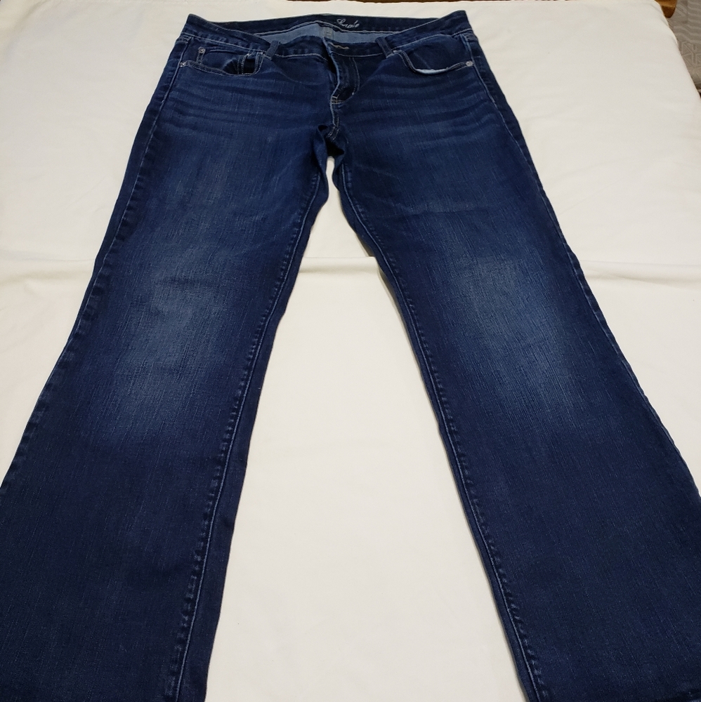 American Eagle Favorite Boyfriend size 14